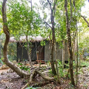  Сasa de vacaciones Ojo De Agua. Design+pool. Vive La Autentica Selva! México